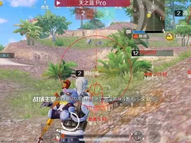 和平精英开外挂犯法吗（和平精英开挂接单犯法吗）